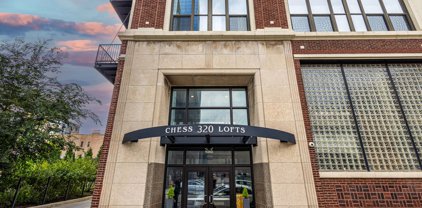 320 E 21St Street Unit #217, Chicago