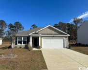248 Country Grove Way, Galivants Ferry image