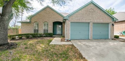 6510 Fontana Pt, San Antonio