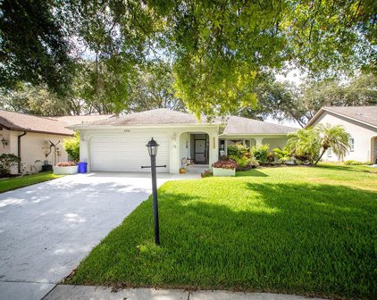 3940 Tarpon Pointe Circle, Palm Harbor