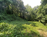 BRIARWOOD RD, Webster image