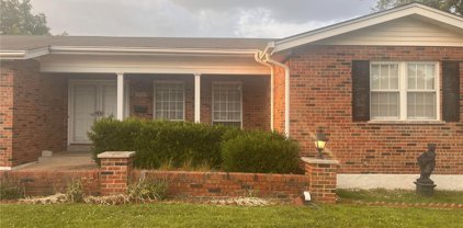 4221 Leeshore  Drive, St Louis