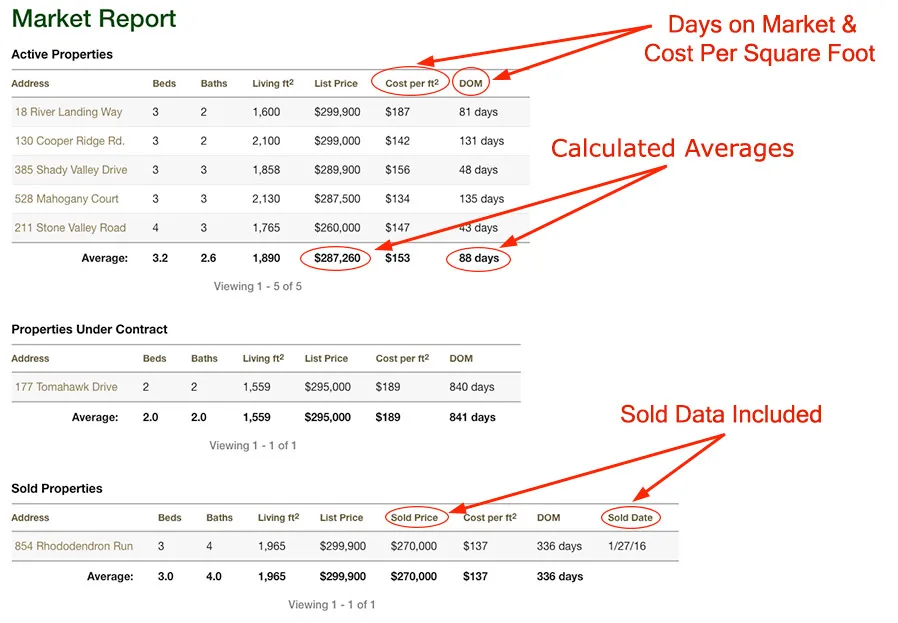 Sample Custom Market Report