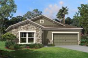 9300 Crescent Ray Drive, Wesley Chapel image