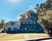 757 Sappho Court, Mount Pleasant image