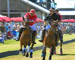 Polo