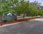 Hilton Head Island image