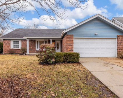 1329 Westbrooke Terrace  Drive, Ballwin