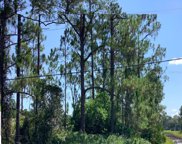 Caesar Avenue, Orlando image