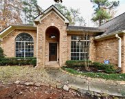 101 Summer Lark Place, The Woodlands image