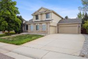 9332 Mountain Brush Street, Highlands Ranch image
