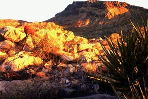 The Ridges in Summerlin