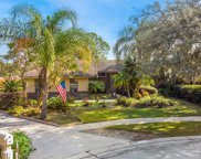 14949 Lake Forest Drive, Lutz image