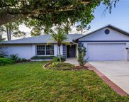 9350 Pineapple Road, Fort Myers image