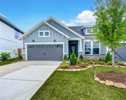 23731 Celeste Fig Drive, Katy image