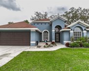 28731 Raleigh Place, Wesley Chapel image