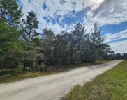 1015 Seminole Bear Trail, Pierson image