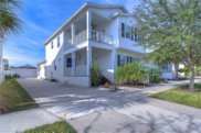 11230 Moultrie Place, Tampa image