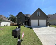 294 Kinross Circle, Pelham image