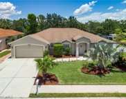 2572 Nature Pointe  Loop, Fort Myers image