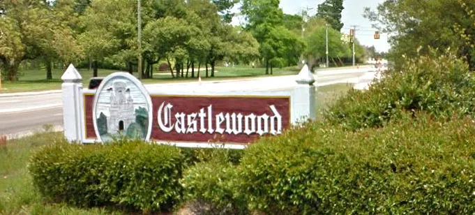 Homes for Sale in Castlewood, Conway SC