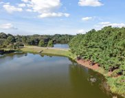 4185 Gnarled Oaks Lane, Johns Island image