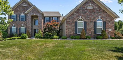 9916 Grandview Hill  Court, St Louis