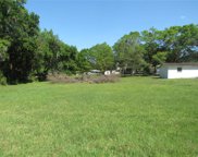 Poinsettia Drive, Mulberry image