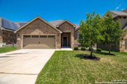10619 Hibiscus Cove, Helotes image