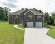 341 Willow Parc Drive, Hayden image