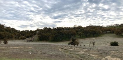 2 acres off of Ground Squirrel Hollow, Paso Robles