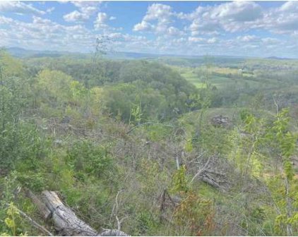 Lot J Sandrel Lane, Wytheville