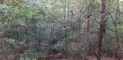 Lot 384 - Pinehurst Hemlock Point Rd, New Market