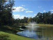 7607 Kalebs Pond Court, Spring image