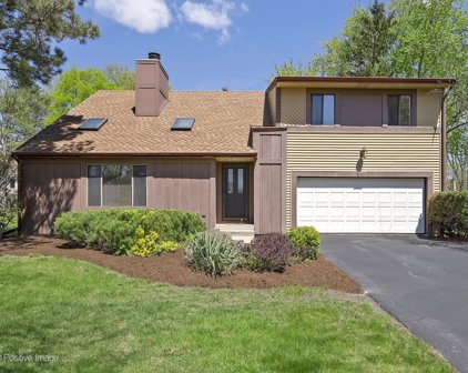 969 Collingwood Drive, Naperville
