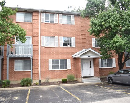 1344 S Lorraine Road Unit #F, Wheaton