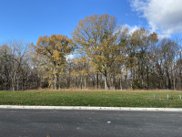 8521 Blanton Ct (Lot 16054), College Grove image