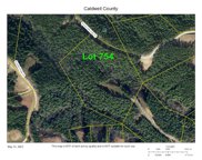 11.95 acres Lot 754 Seclusion  Ridge Unit #754, Lenoir image