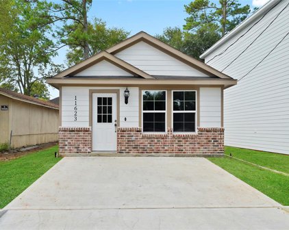 11623 Vistawood Street, Willis