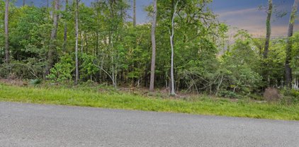 lot 41 Carriage Run West, Conroe