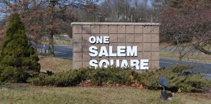 295 Rt 22 E, Readington Twp.