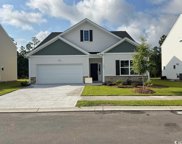 1290 Boswell Ct., Conway image