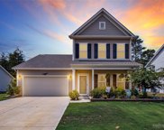 4695 Selhurst  Drive, Indian Land image