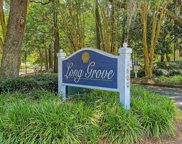 1600 Long Grove Drive Unit #1324, Mount Pleasant image
