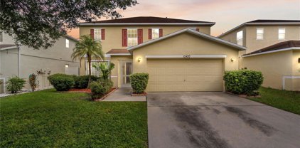 10420 Boyette Creek Boulevard, Riverview