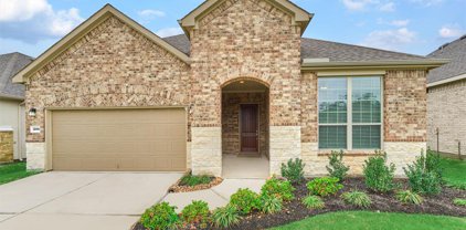 244 Spotted Saddle Court, The Woodlands
