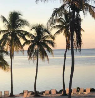 Beachfront & Beach-View Condos / Townhomes Under $1M