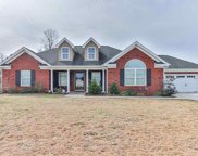 220 Grassy Meadow Ct., Galivants Ferry image