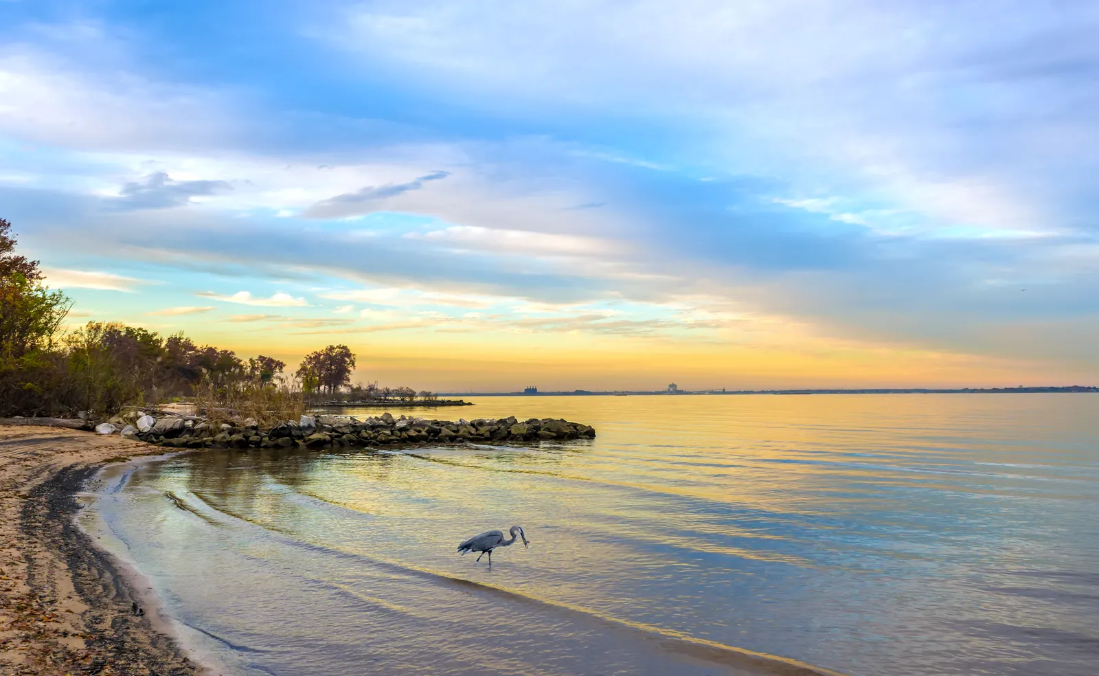 Thunder IslandOcean City, MD Condos for Sale