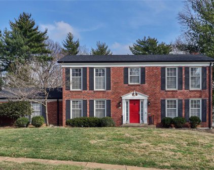 412 Spring Valley  Court, Chesterfield